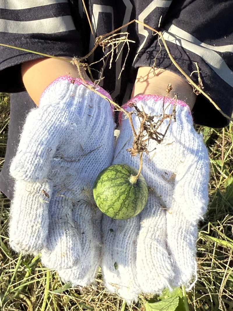 Polymath School of Morioka Feature 3