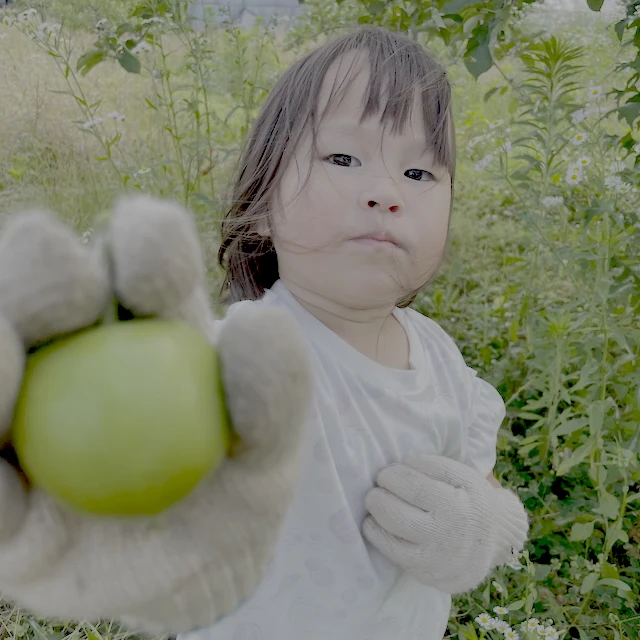 生態系ファーム イメージ